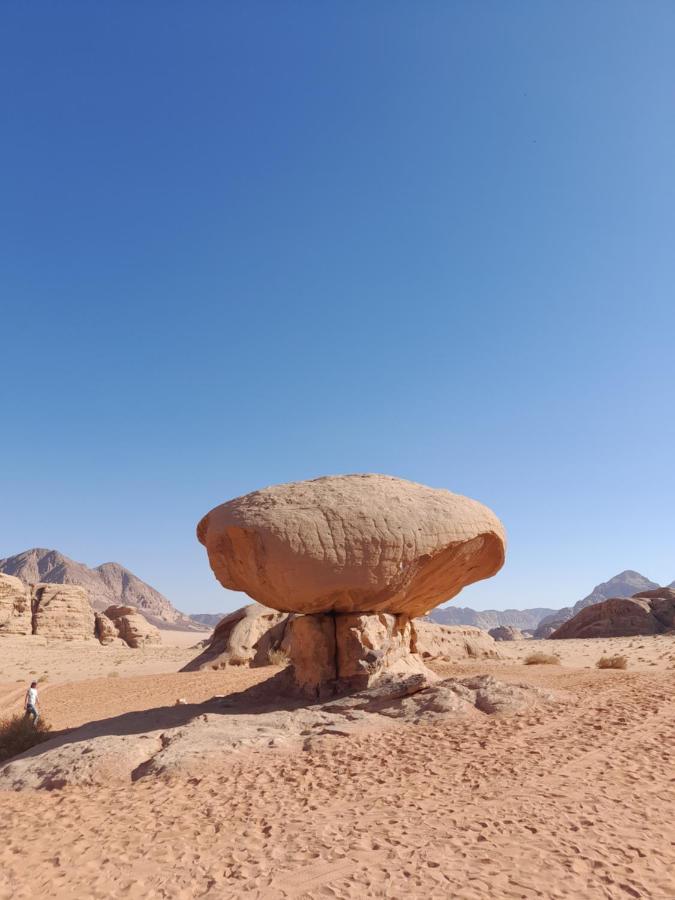 Wadi Rum Camels Camp Экстерьер фото