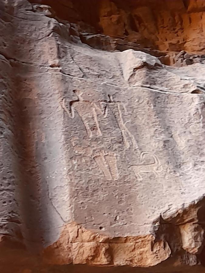 Wadi Rum Camels Camp Экстерьер фото