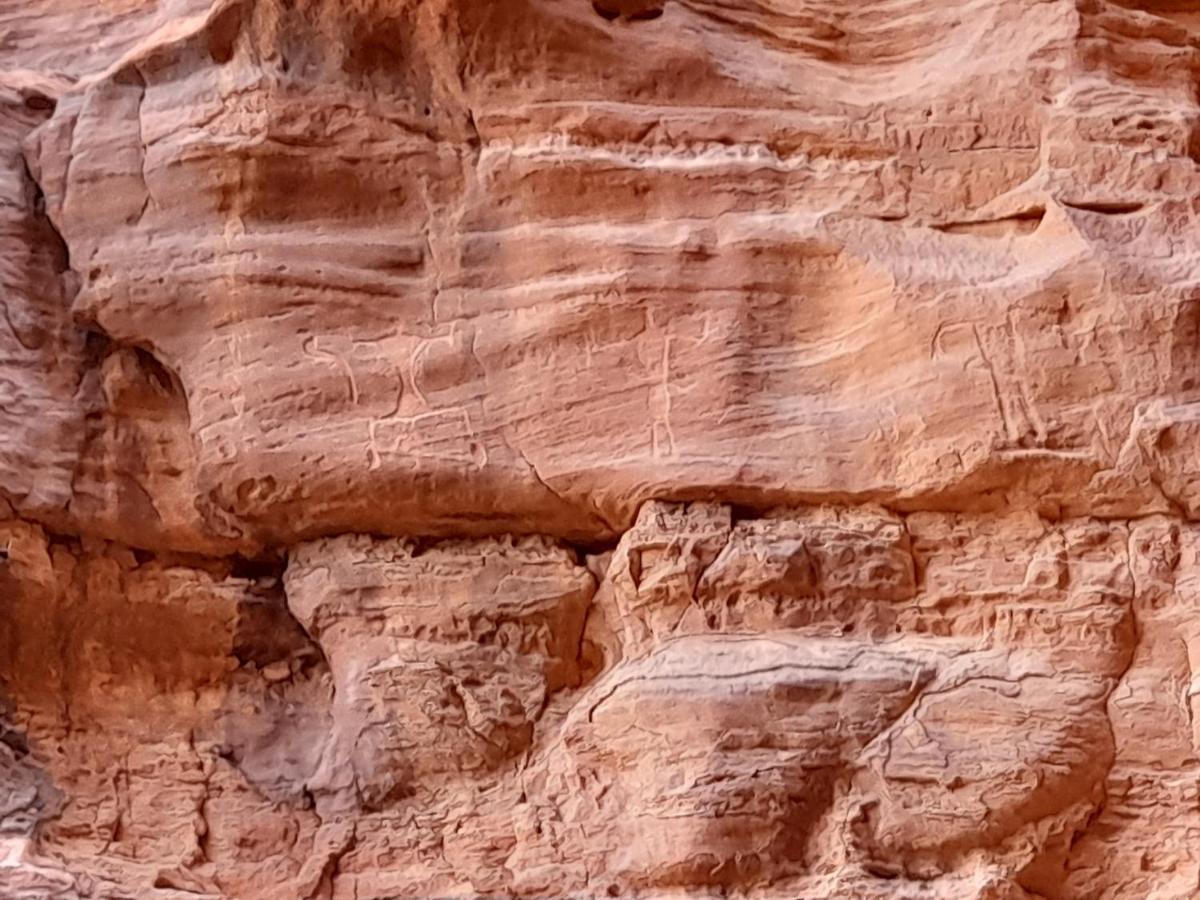 Wadi Rum Camels Camp Экстерьер фото